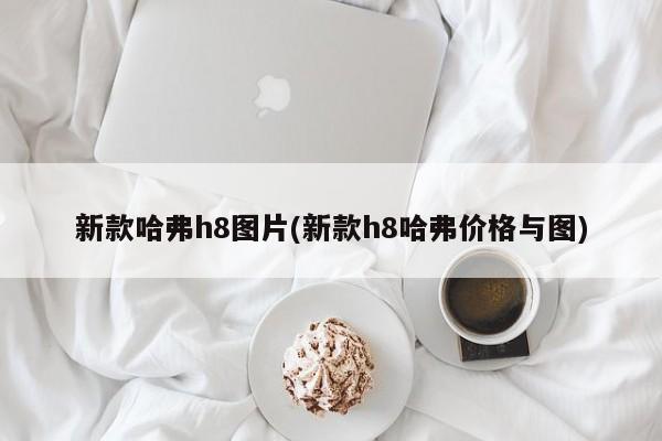 新款哈弗h8图片(新款h8哈弗价格与图)