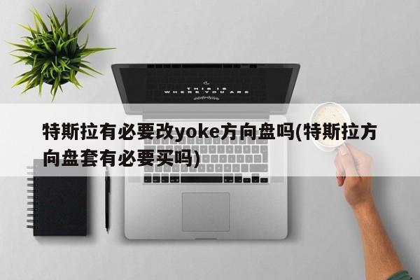 特斯拉有必要改yoke方向盘吗(特斯拉方向盘套有必要买吗)