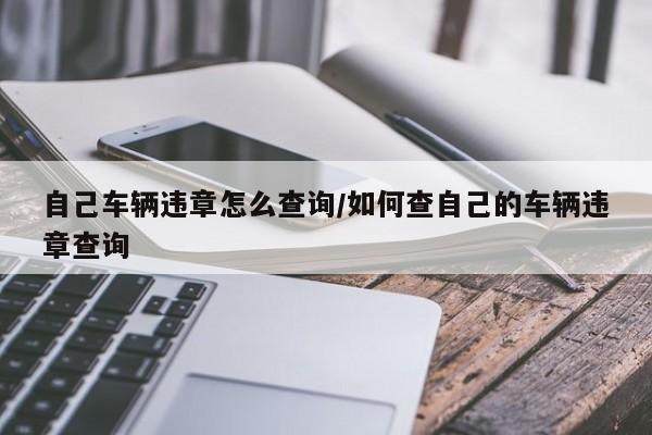 自己车辆违章怎么查询/如何查自己的车辆违章查询